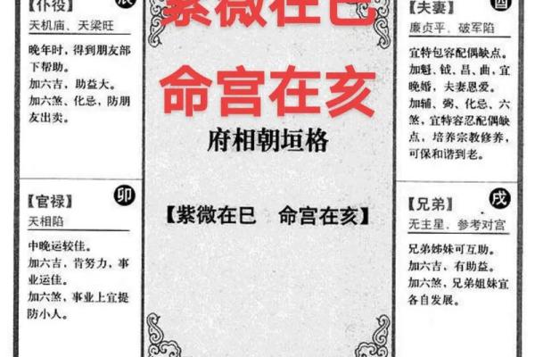 紫薇斗数文曲在命宫
