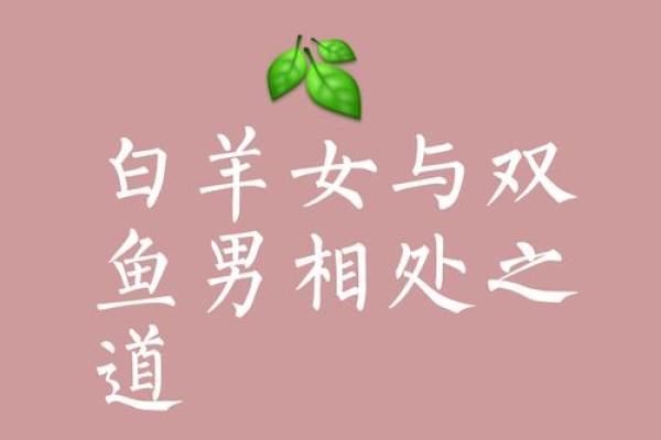 双子男和白羊女座配对指数一对有欢乐与悲伤的组合