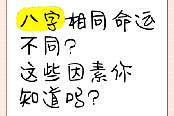 相同八字