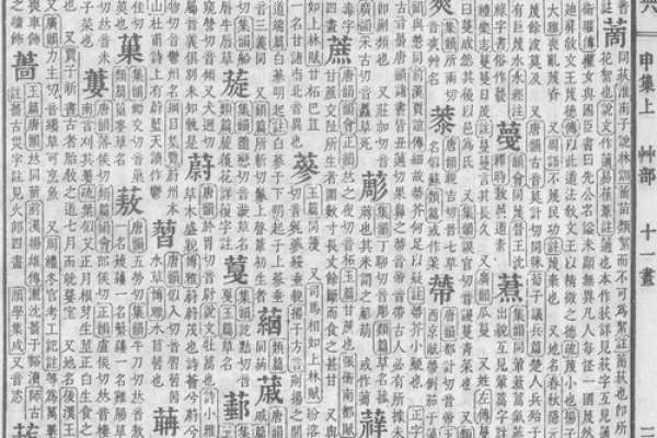 名字测试打分相成