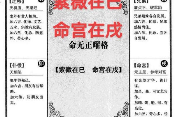 子由紫薇斗数