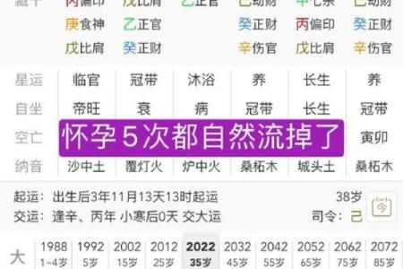 八字测子嗣