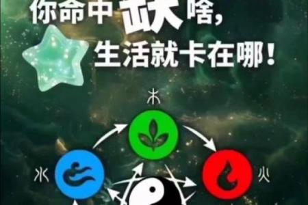 【八字看擅长领域】你的命理学大揭秘，解码你擅长的事业领域！