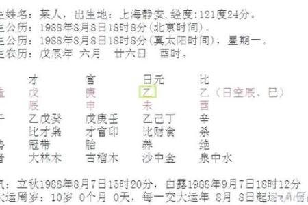 总复习：快速看穿八字网络排盘器界面（下）