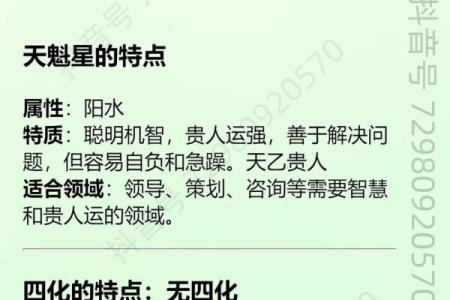 紫微斗数天马星之十二宫释义