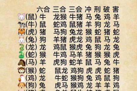 算命兔子在吃草,兔吃草是什么命
