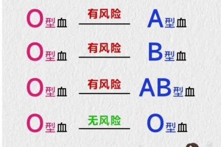 o型血是稀有血型吗 O型血稀有吗