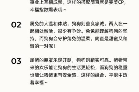 1962年属虎人和什么属相婚配好,1962年属虎的人婚姻配对详解
