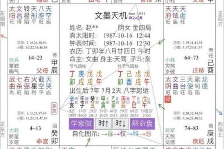 紫薇星盘怎么排
