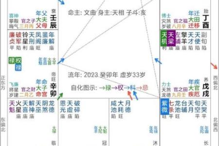 紫薇斗数看讨债