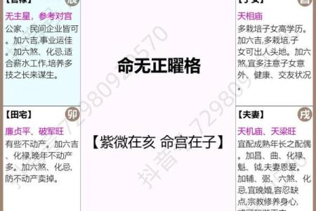 紫微斗数终极 紫微斗数解释？