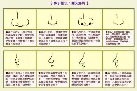 相面算命看见鼻孔好吗