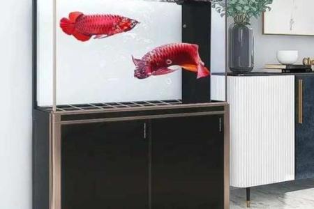 上下水的风水