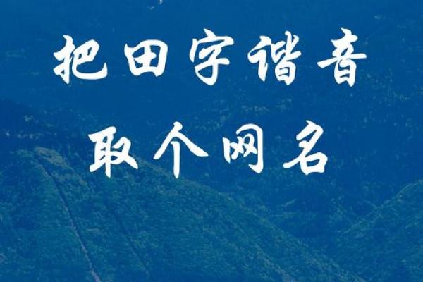 田姓女孩名字大全-田姓女孩起名字大全-田姓名字大全姓名