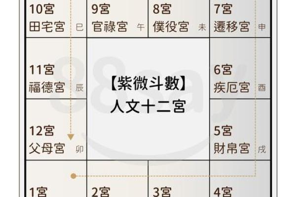 紫薇斗数男命看哪些宫