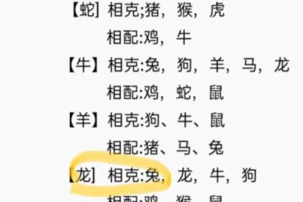 属龙姻缘配对