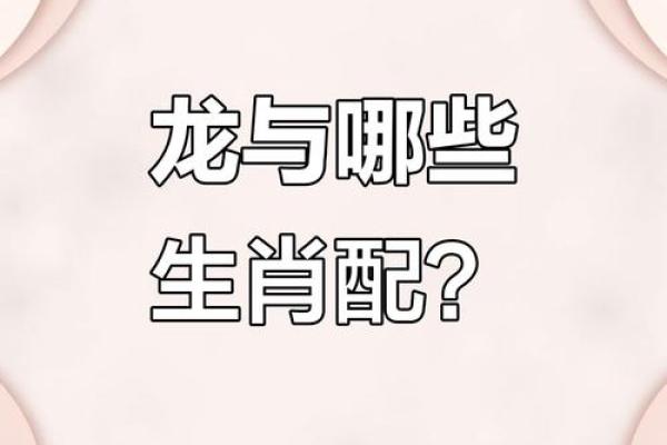 属龙姻缘配对