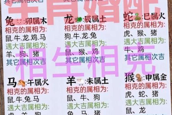 78马和72鼠结婚吉日 78年的马和72年的鼠结婚后如何？