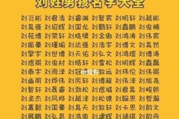 2019年6月21号寅时出生的男孩起名时要注意什么姓名