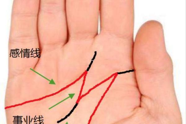 图解：手相中的事业线算命意义是