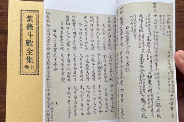 紫薇斗数的故事