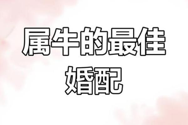 牛的配对属相婚配表