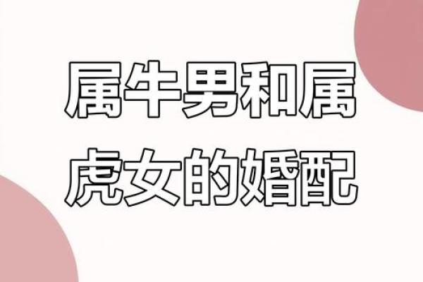 属牛人婚姻配对
