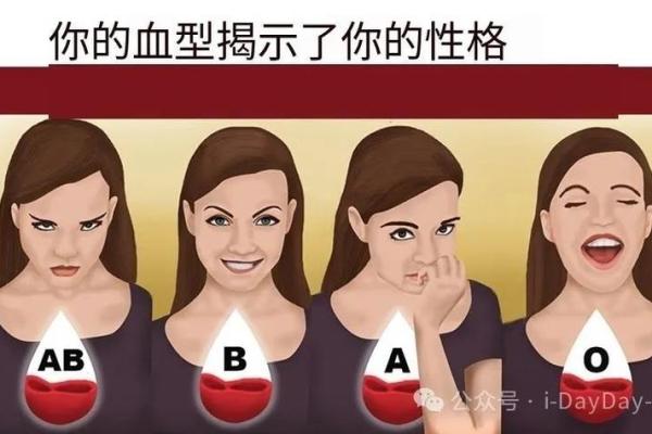 属鼠A血型的人性格与事业姻缘