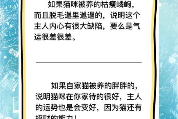 风水猫不请自来兆头寓意什么