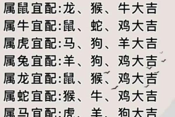 属龙和属狗适合做夫妻吗 配对有什么缺点