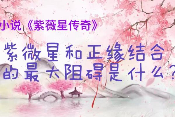 紫薇星必须要与正缘结婚吗