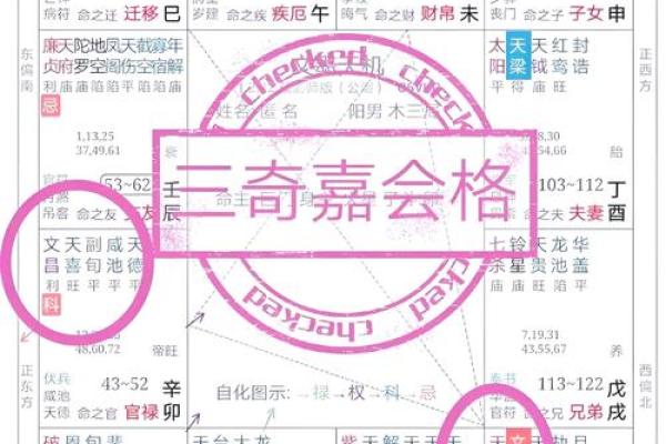 紫薇斗数的格局