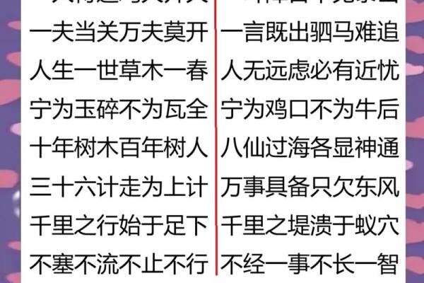 用八字成语