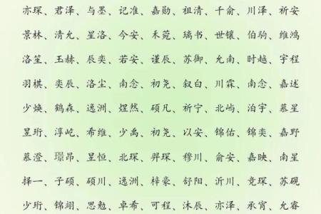 2019年5月24号寅时出生的男孩应该起什么样的名字姓名