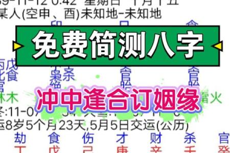 八字付费