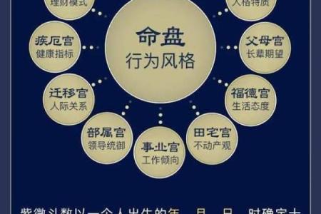 紫微斗数之福德宫与诸星，紫微星在福德宫是什么意思？