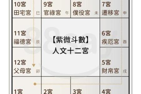 紫薇斗数男命看哪些宫