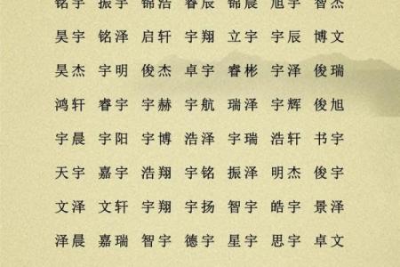 2019年6月21号寅时出生的男孩起名时要注意什么姓名