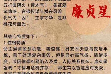 紫薇斗数的故事