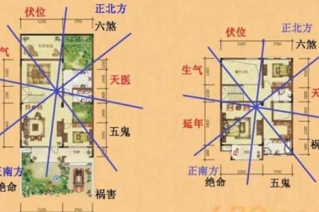 属蛇的办公室风水