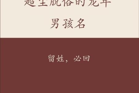 2019年3月21号子时出生的男孩应该起什么样的名字姓名