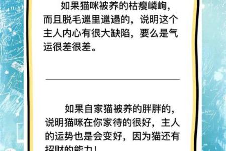 风水猫不请自来兆头寓意什么