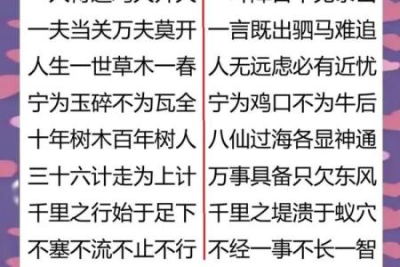 用八字成语