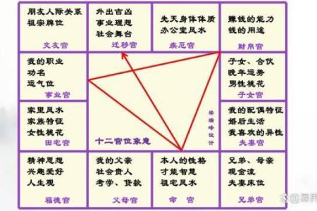 刘恒紫薇斗数