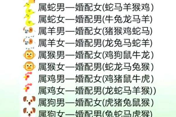 生肖龙和配对的魂伴