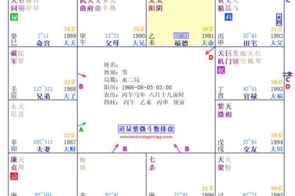 紫微斗数之：看命程序