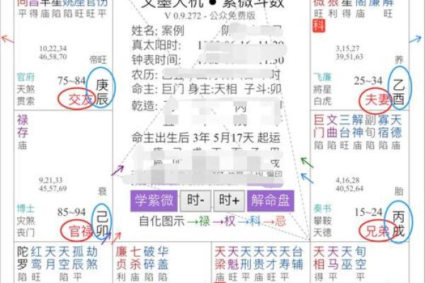 方外人河洛紫薇斗数