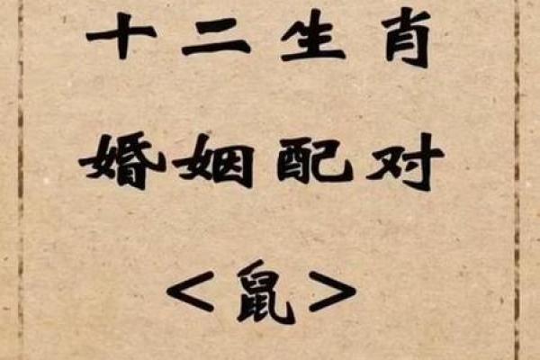 1996年属什么生肖配对