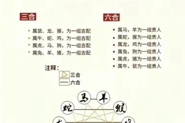 生肖看八字属虎人和属马人是不是八字相合？在一起好吗？