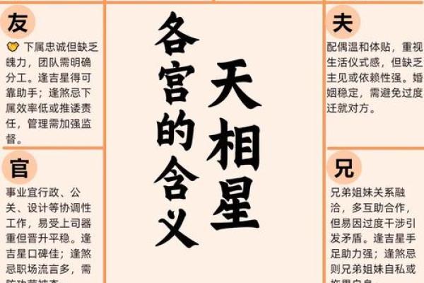 紫薇斗数主看星